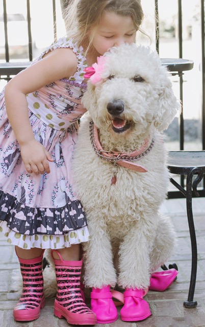 Little girl wearing a handmade quilting cotton print dress with her goldendoodle Little girl wearing a handmade quilting cotton print dress with her goldendoodle